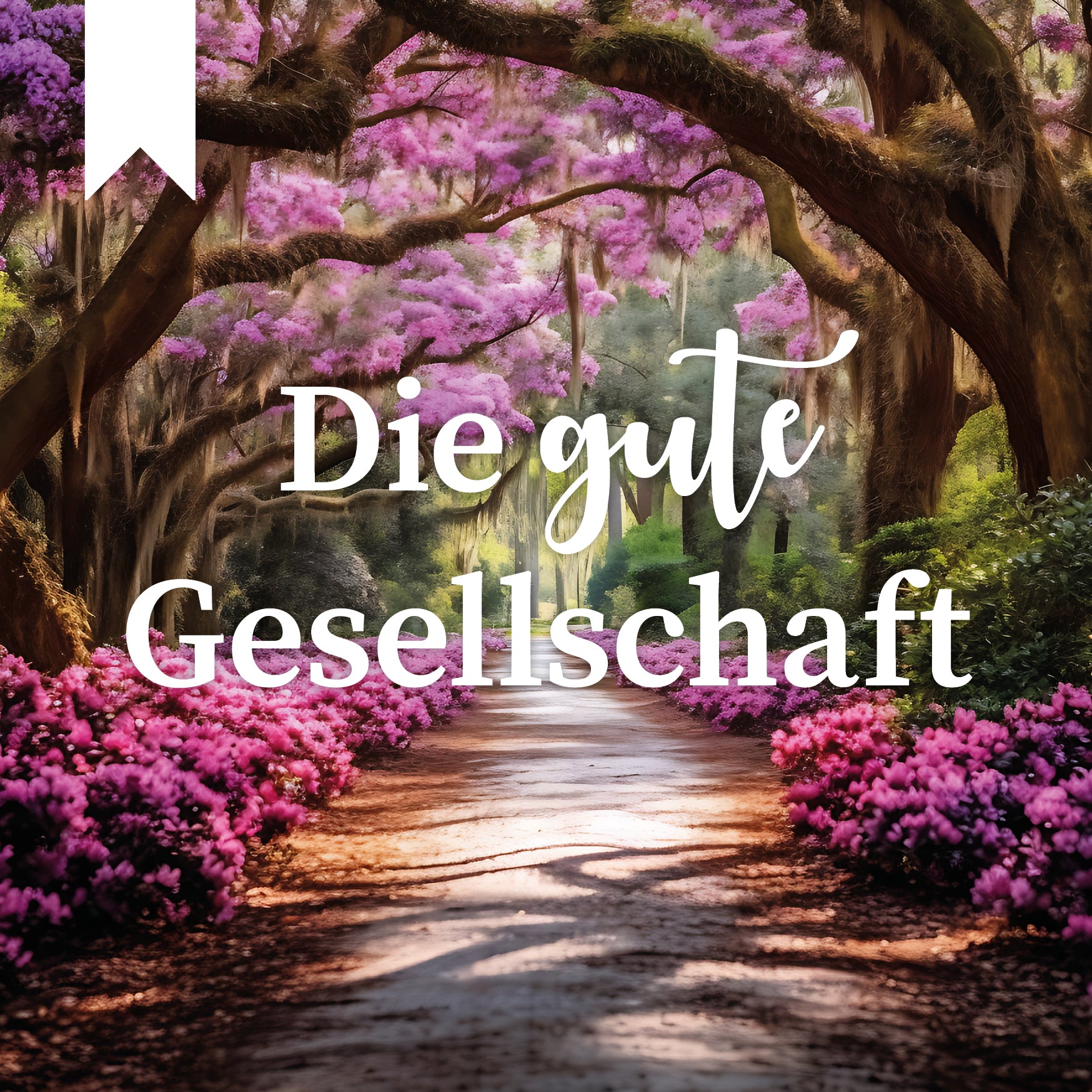 Schmökerbox Sonderbox - Die gute Gesellschaft